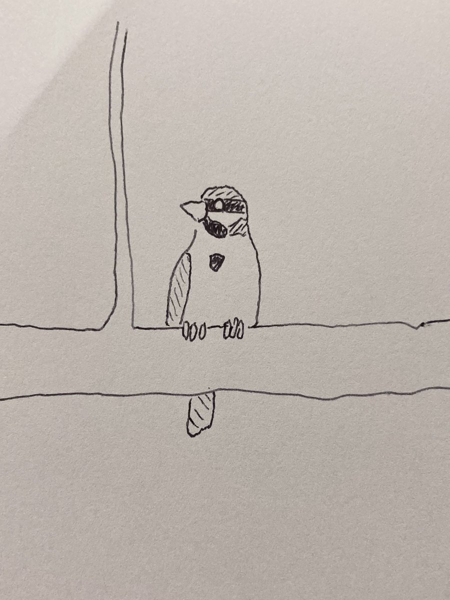 MegLegbird's tweet photo. saw a lark sparrow for the first time today... always very exciting to see a new bird . didn't have my camera so here is an artists rendering of the suspect https://t.co/p5ESpeVWgC
