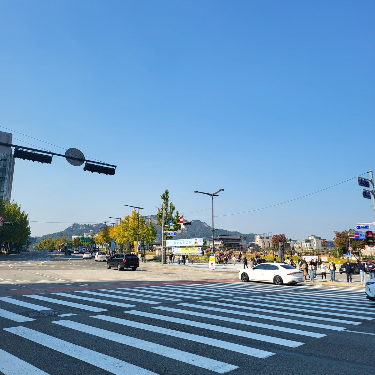 🇰🇷𝗧𝗜𝗔𝗡ₜᵢₐₙ🪔天上天下 唯我独尊 tweet media
