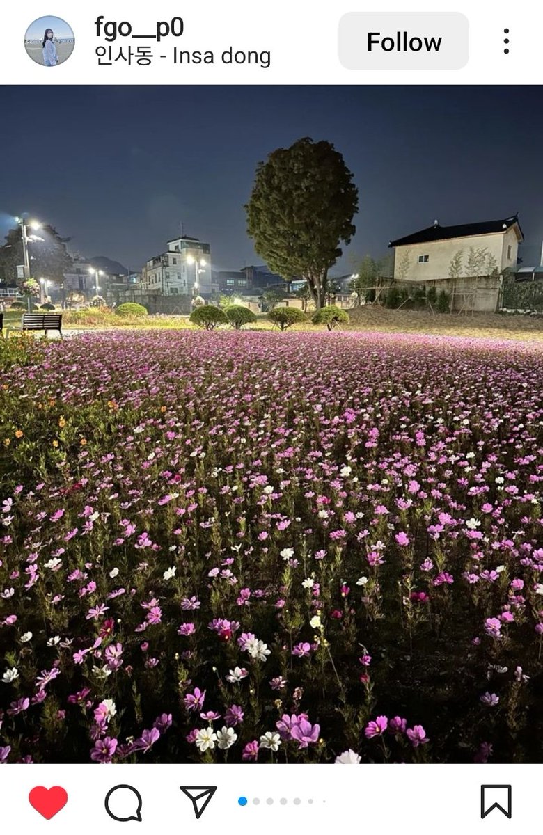 🇰🇷𝗧𝗜𝗔𝗡ₜᵢₐₙ🪔天上天下 唯我独尊 tweet media