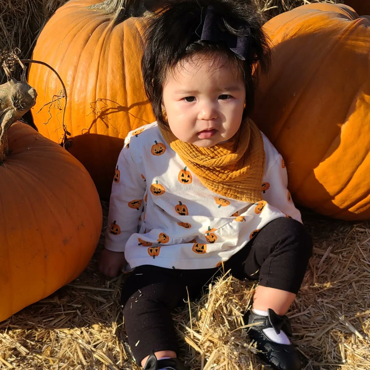 QuteDistraction's tweet photo. My little pumpkin 🎃🧡 https://t.co/yinMoXC3QZ