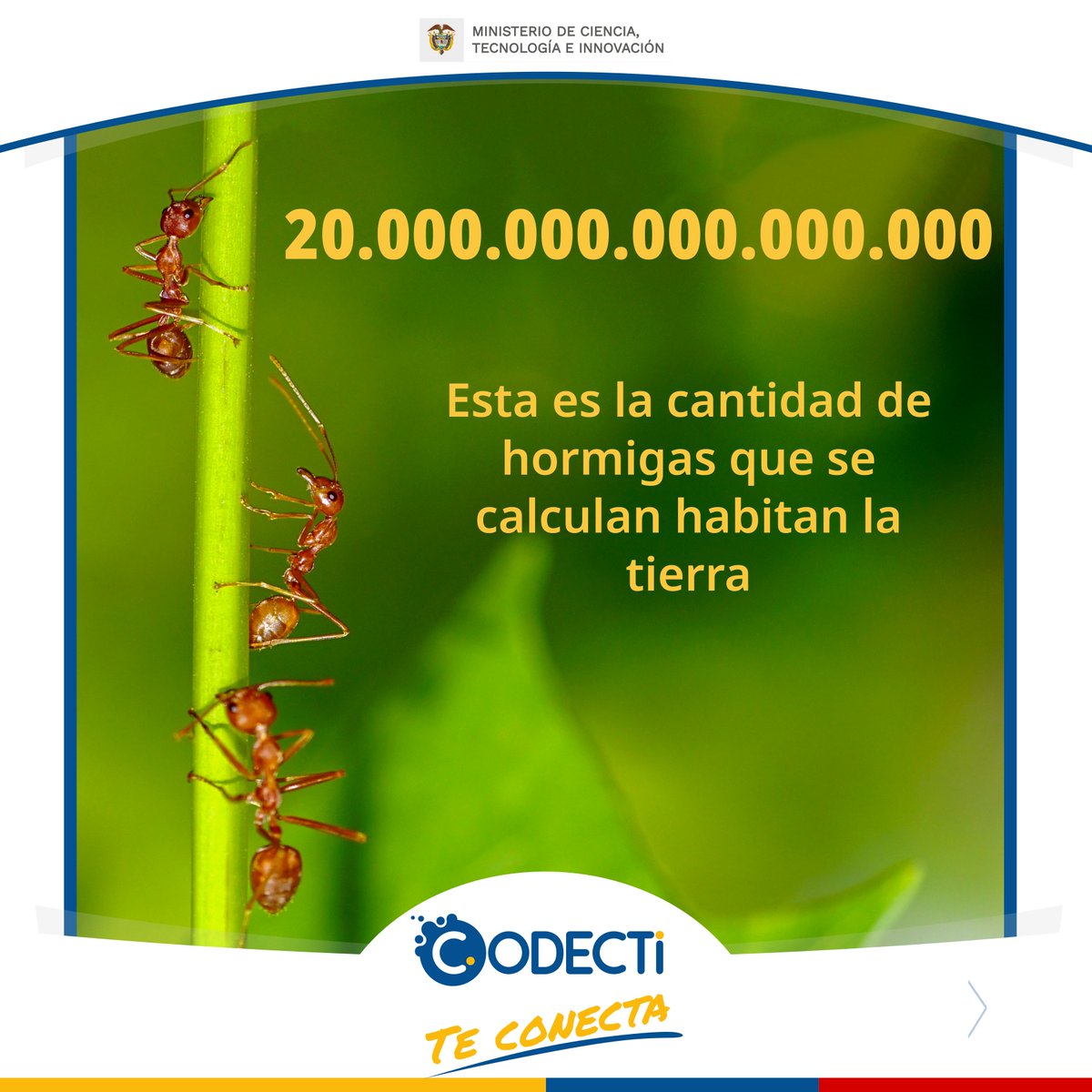 CodectiCol's tweet photo. Científicos han estimado la cantidad de hormigas en el planeta y calculan que su biomasa supera la de los mamíferos terrestres y aves silvestres juntas.
La ciencia nos ayuda a conocer.
#CODECTI Trabajamos juntos por la ciencia. https://t.co/AbWr3R7dXg