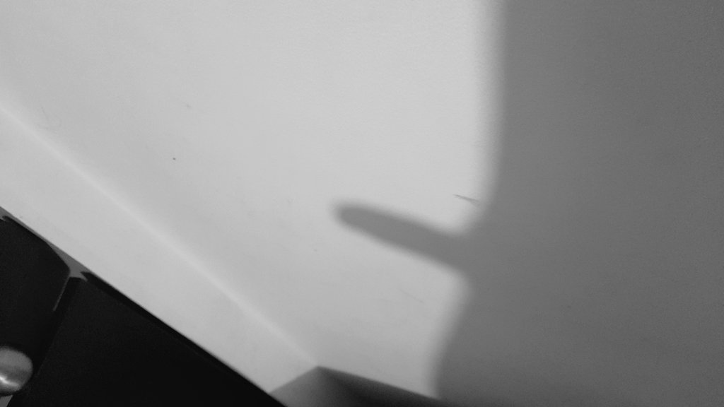 KittyTrans1's tweet photo. What is that? 😳🍆
.
.
.
#KittyTrans #transhot #transonfire
#sissydick #gay #bisexual #transLovers https://t.co/YJfEkHxT0o