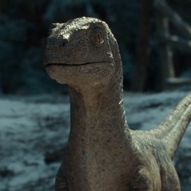 Beta
Female
Velociraptor
Dominion
Mommy:Blue