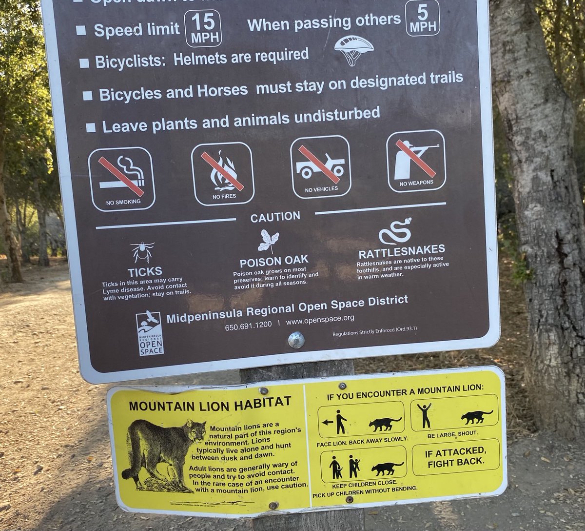 stacylindau's tweet photo. If you encounter a mountain lion… https://t.co/Ai7Xk4Xiw1