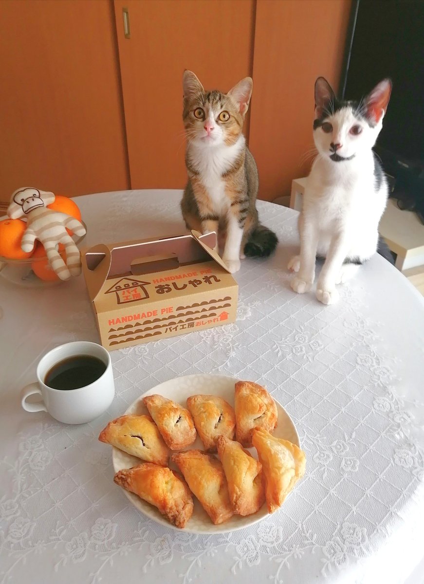 笠松ページ❁⃘*.゜ テキサス山口店 on X