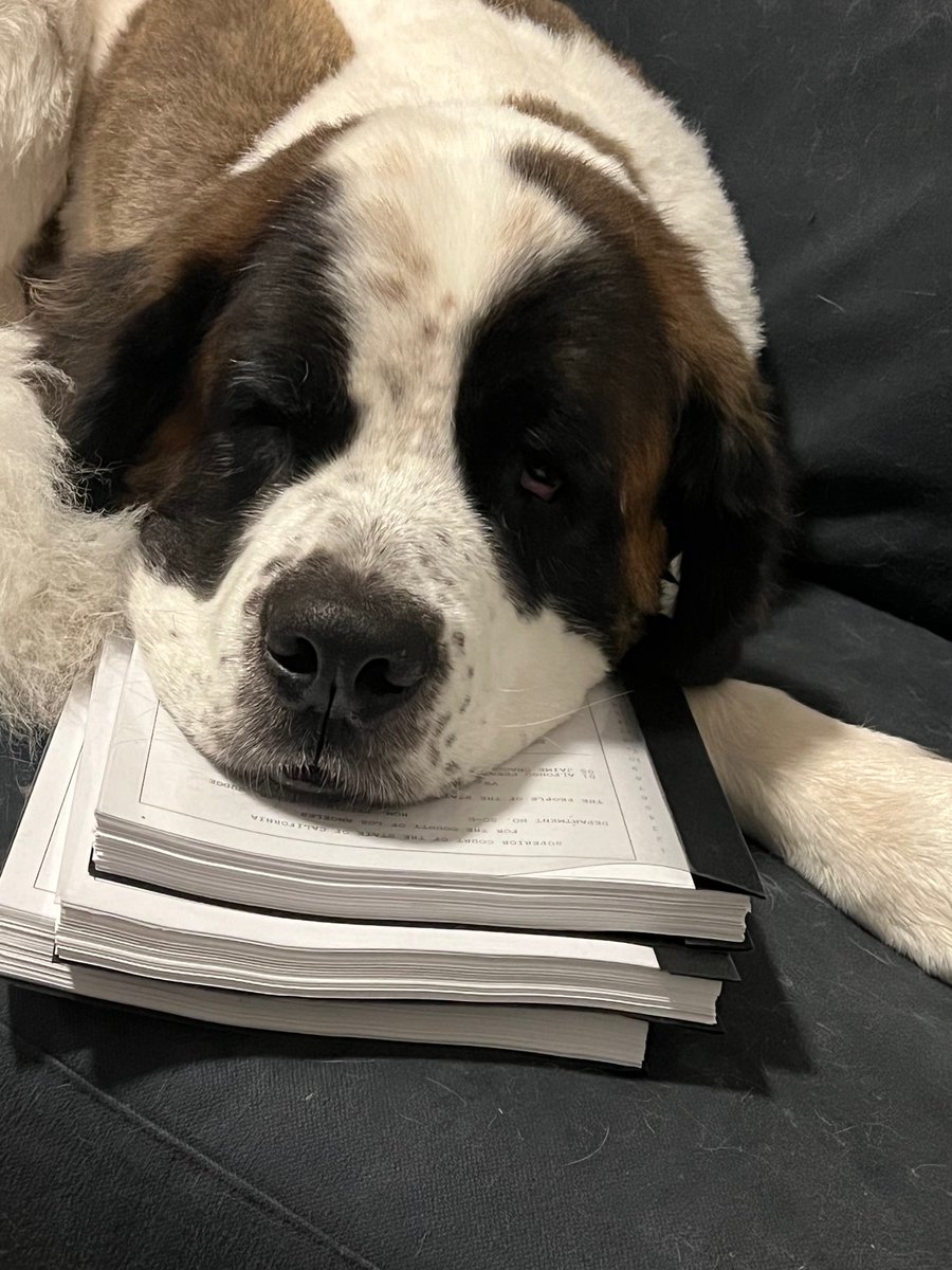 Paralegal sleeping on the job tonite