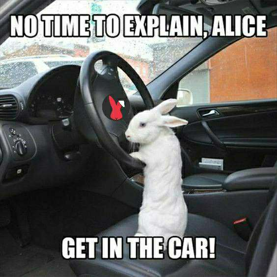 rabbitx_io's tweet photo. **Best memes this week:**
submitted by @backthebunny
https://t.co/6dzrDuzU0t
submitted by @backthebunny
https://t.co/cvQd3QFH8b

submitted by ivancl8647 https://t.co/E0fhS0T5lK