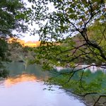 ツイートに含まれる画像