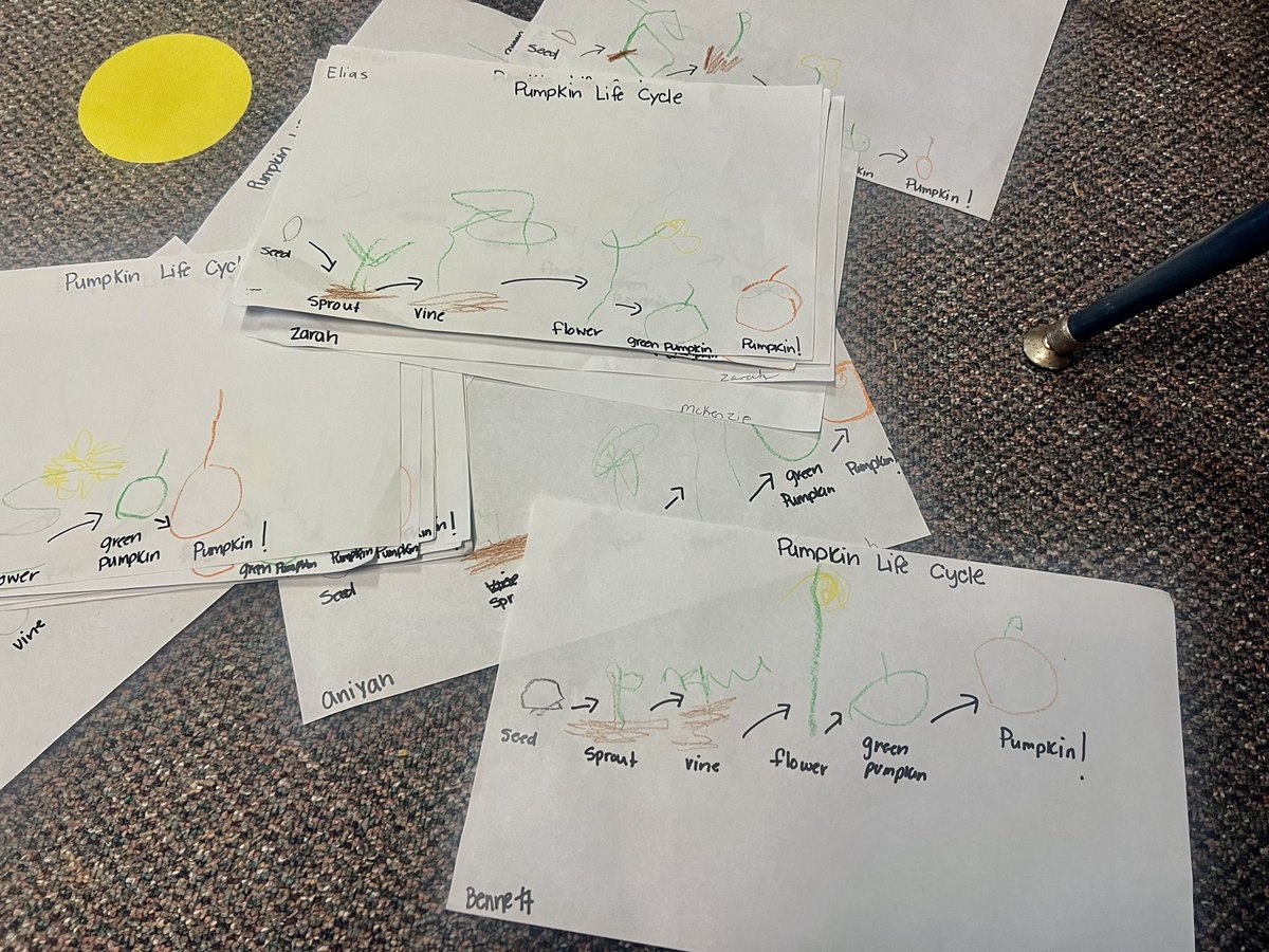 Ms. Murray tweet media