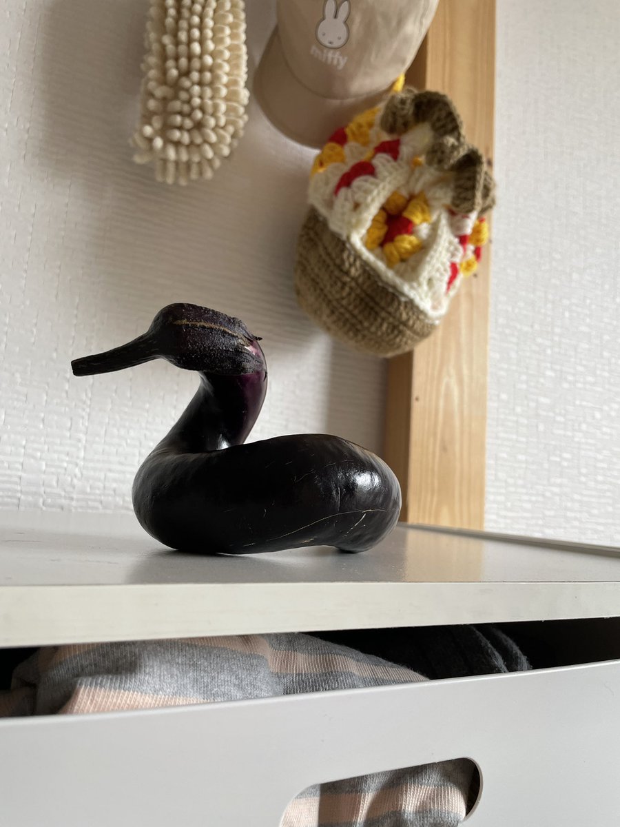 TATSUYASC's tweet photo. 子供がナス持って「チュンチュン」言うとるなー
と思って見たらマジで白鳥だったナス。 https://t.co/S4V6jphCTG