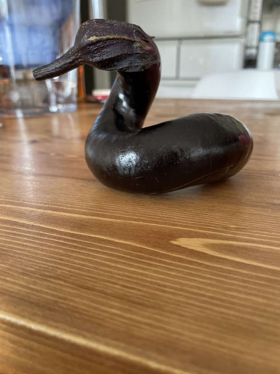 TATSUYASC's tweet photo. 子供がナス持って「チュンチュン」言うとるなー
と思って見たらマジで白鳥だったナス。 https://t.co/S4V6jphCTG