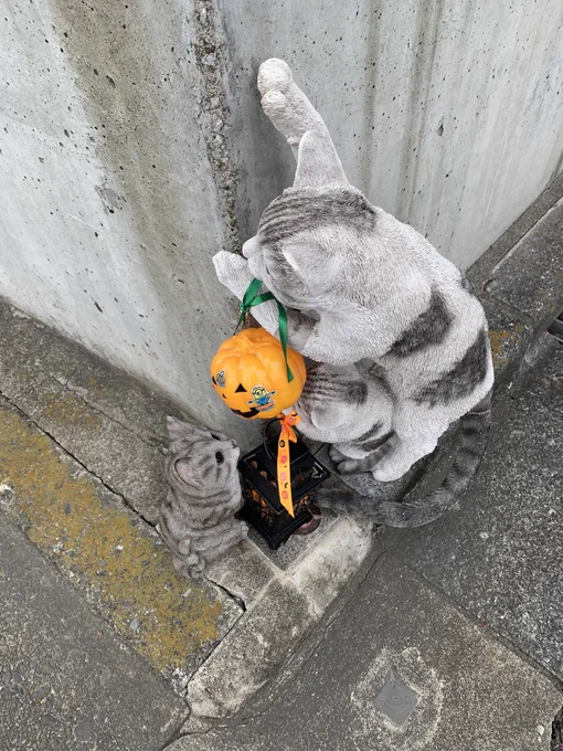 シオンちゃん見てーもうじきハロウィンだよ( 'ч' ) 