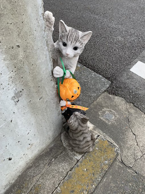 シオンちゃん見てーもうじきハロウィンだよ( 'ч' ) 