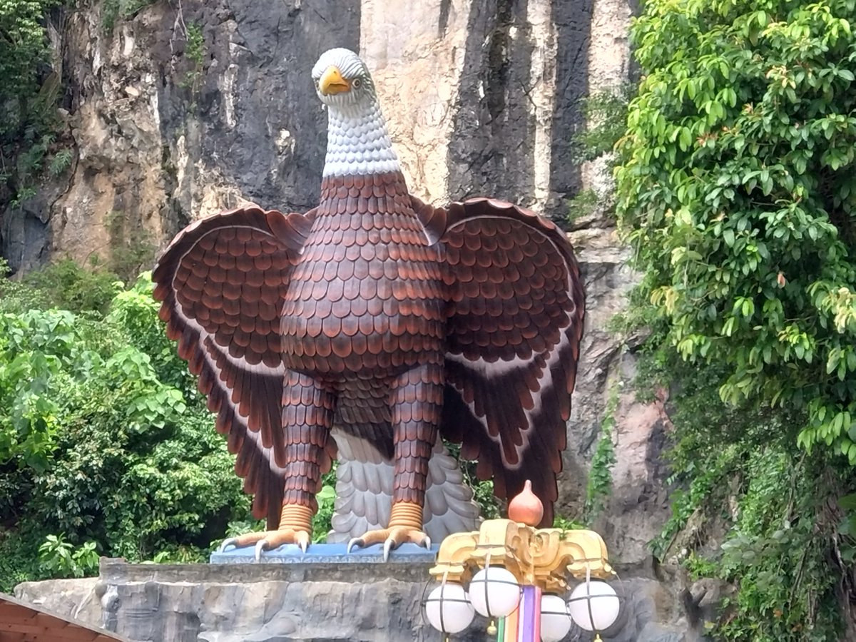 fronti's tweet image. 