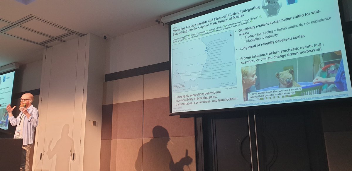 docloc_'s tweet photo. Awesome week at #ABNA2022Perth! Great to see a diverse range of #biobanking talks and to present our research on the potential benefits of developing #biobanking and assisted reproduction for #koala recovery! 🐨 ❄️ thanks for the invite @CassPGriffin @ABNAonline https://t.co/6FGrVb1BTd
