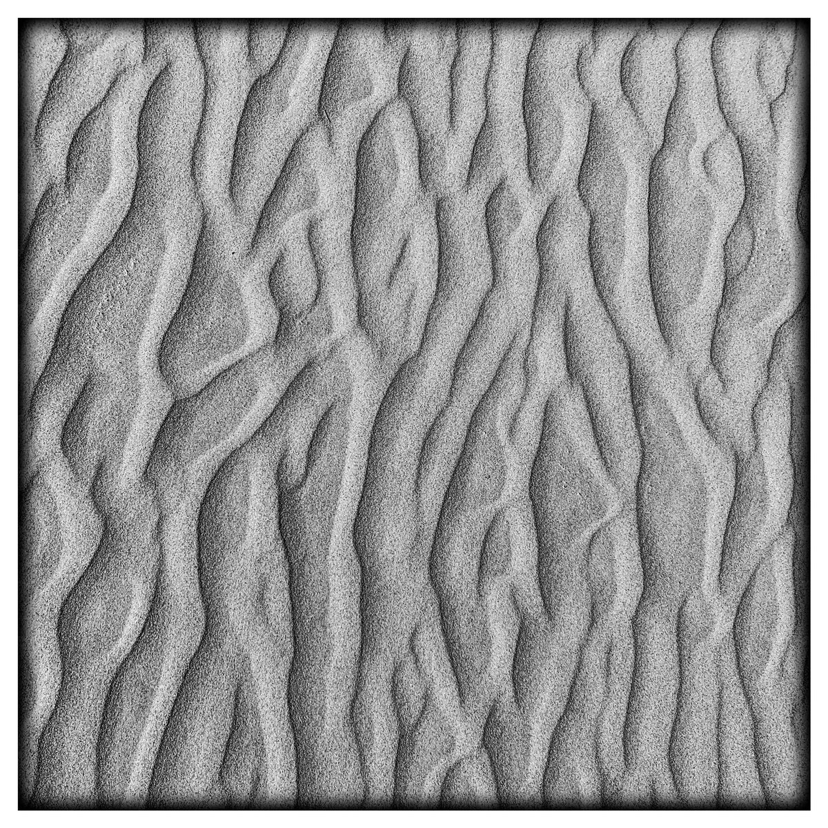 tinyblackant's tweet photo. @FlakPhoto While I was walking my dog on the beach yesterday. Great patterns in the sand. https://t.co/nc6MPUjN3Z