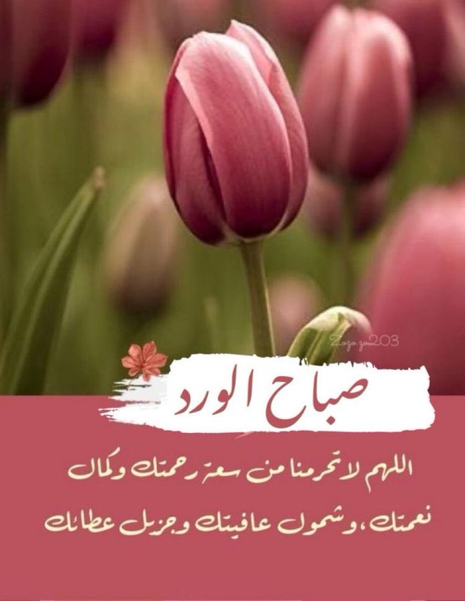 صباحكم الله بالخير
