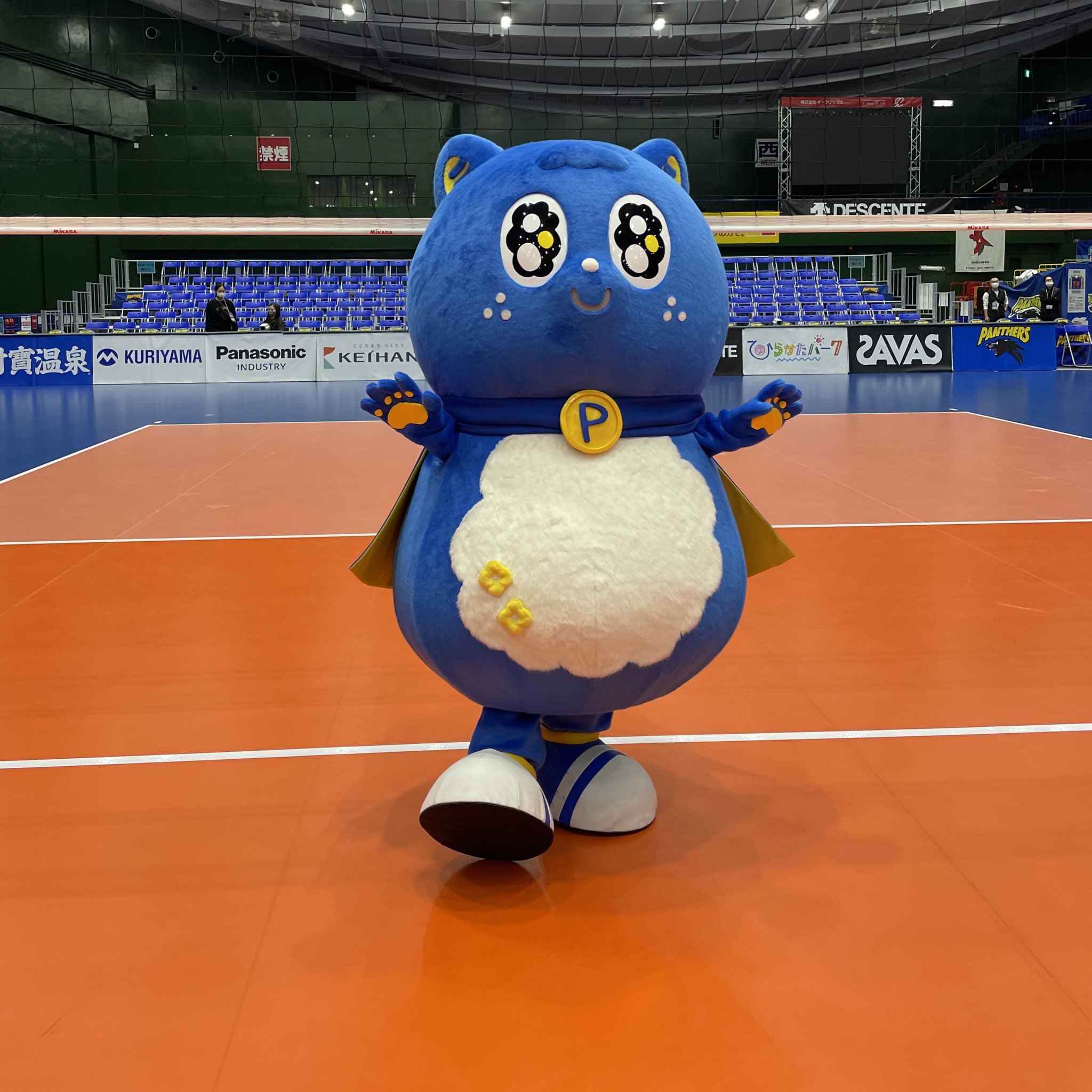 パナソニックパンサーズ　大阪ブルテオン ゲームパンツ　デサント デサントストア限定】パナソニックパンサーズ オーセンティック