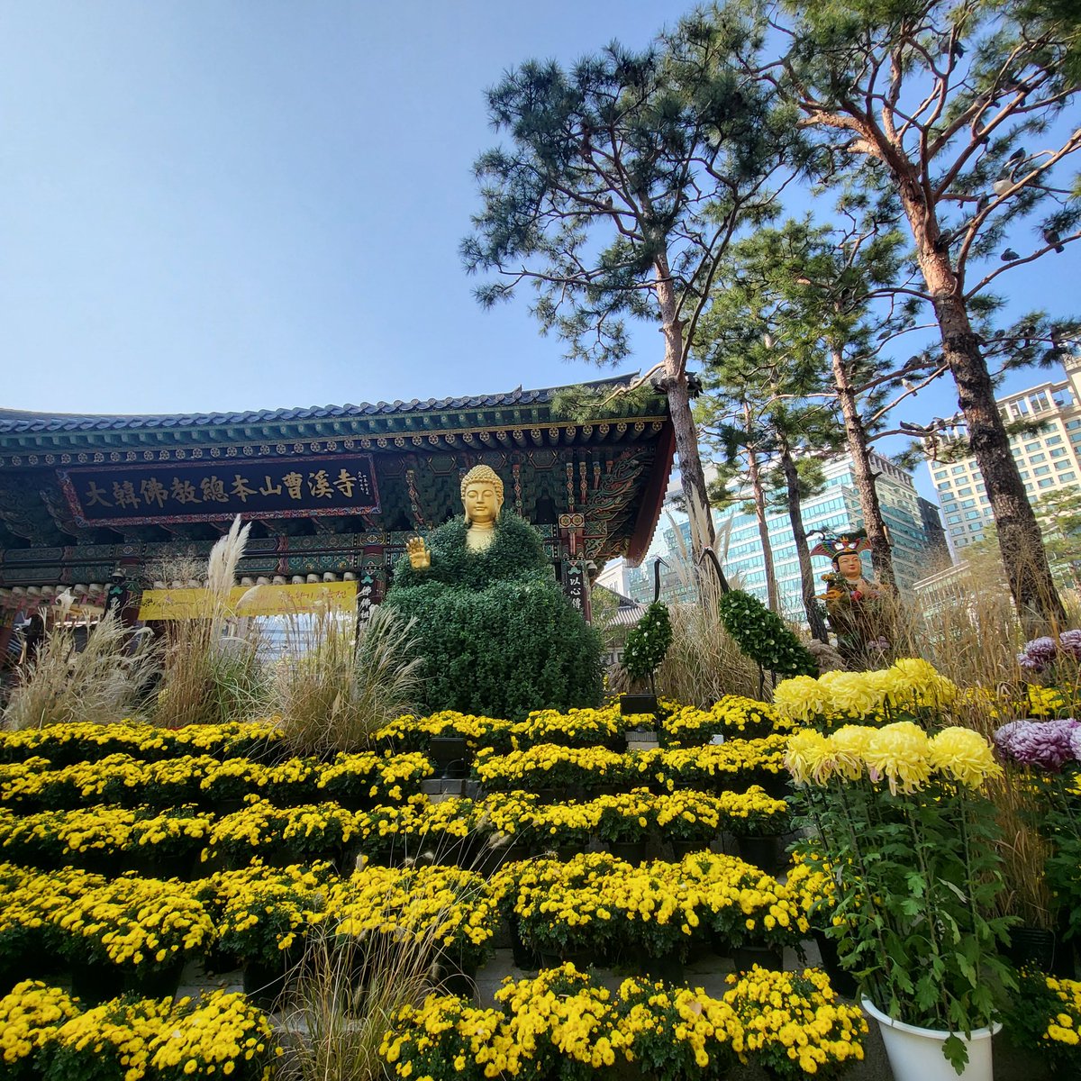 🇰🇷𝗧𝗜𝗔𝗡ₜᵢₐₙ🪔天上天下 唯我独尊 tweet media