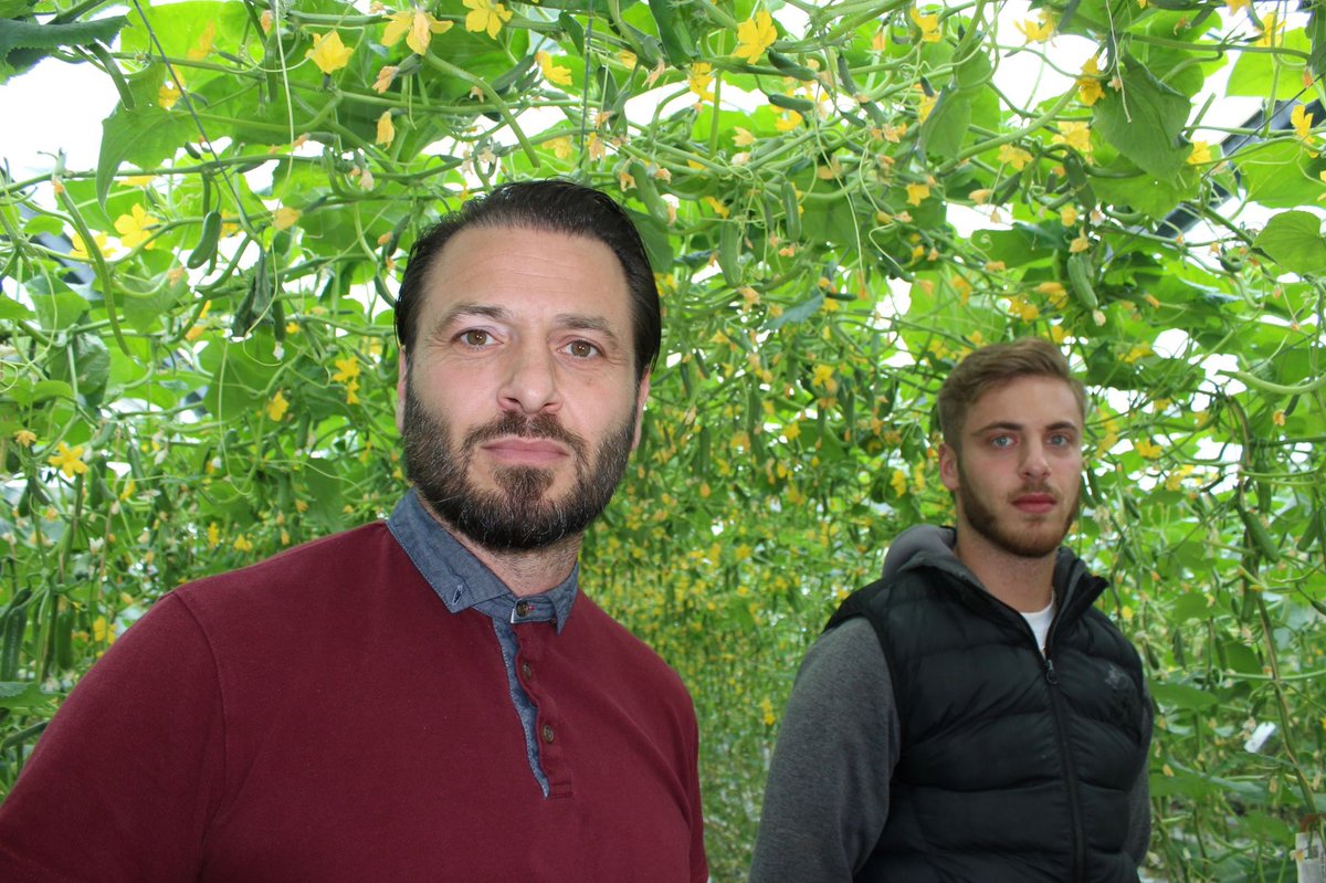 Watch: Lea Valley Cucumber Grower Tony face his toughest season yet. Watch on iPlayer: bbc.in/3SkPBgy #WeAreEngland #Cucumber #Leavalley #weareengland #BackBritishFarming #CostOfLivingCrisis #energycrisis