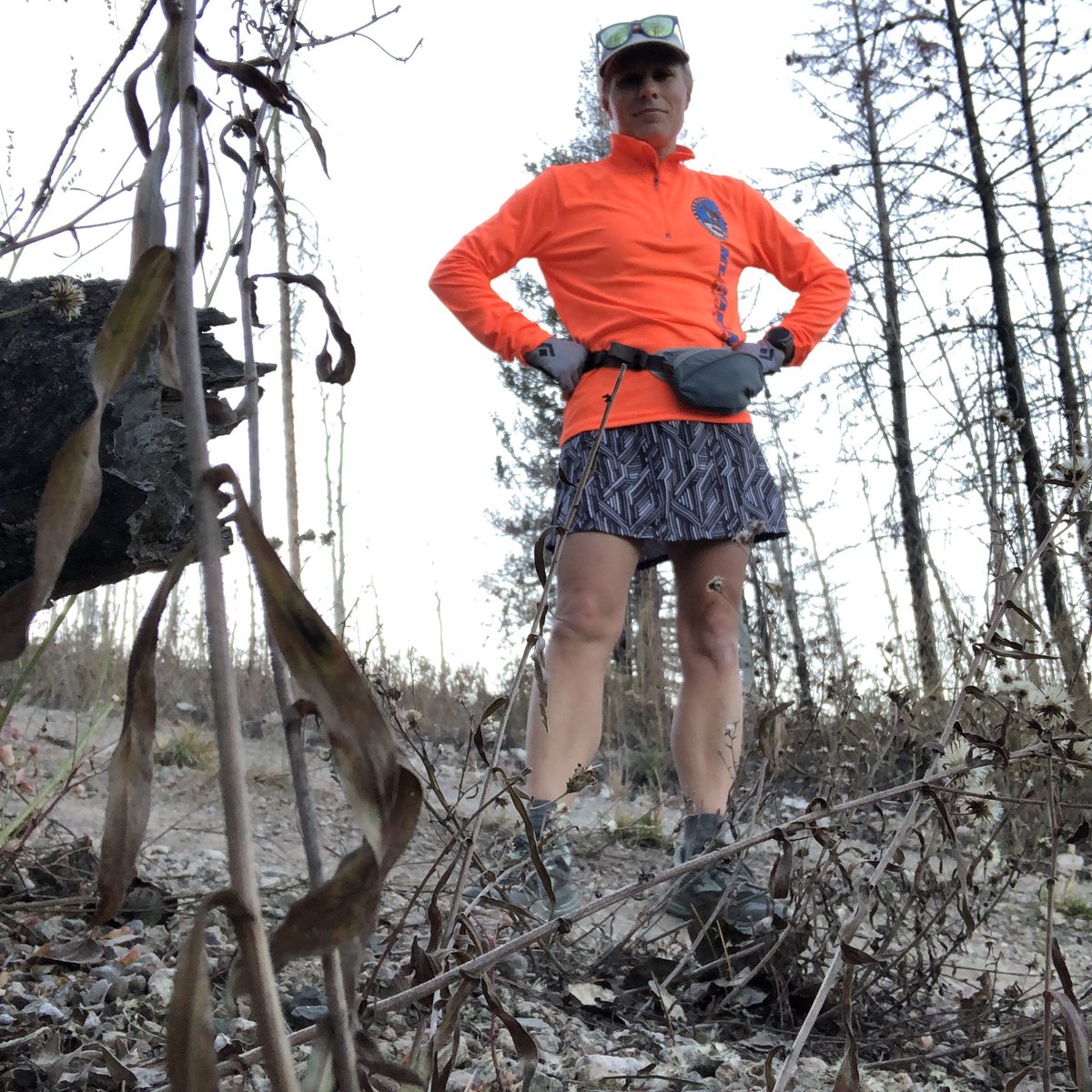 Realrellim's tweet photo. TFW you just need some mountain miles. #leagueofgarmin #zoomarunclub #runstreak day 1479 #running https://t.co/4j8oIMeMVg