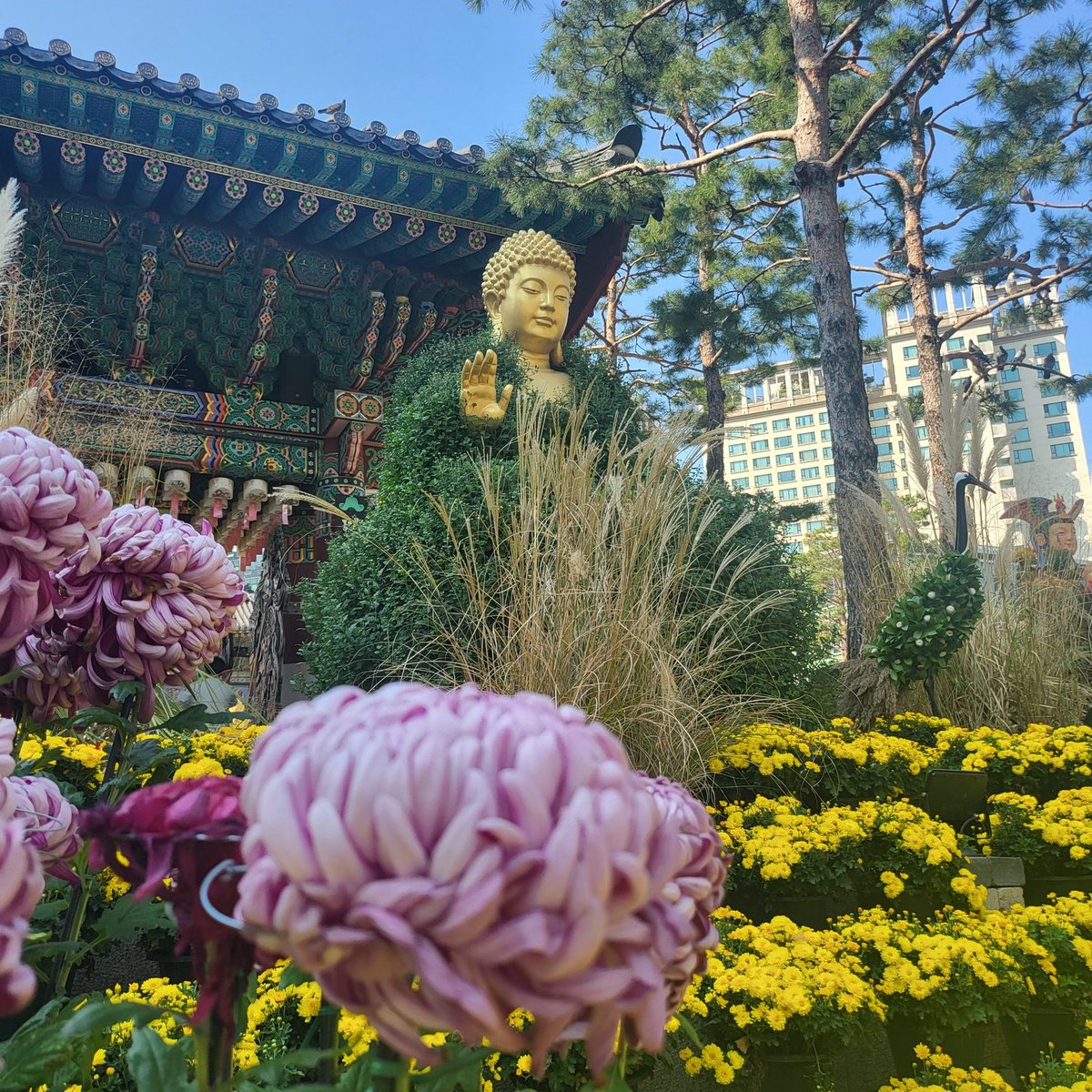 🇰🇷𝗧𝗜𝗔𝗡ₜᵢₐₙ🪔天上天下 唯我独尊 tweet media