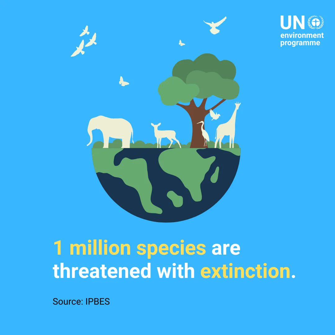 UNEP's tweet image. Nature is experiencing a dangerous decline.

Ahead of the @UNBiodiversity conference (#COP15) in December, find out why we can’t afford more inaction on the escalating nature crisis.

bit.ly/3Diw1NQ 

#ForNature