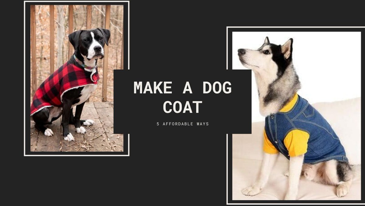 manuw_blogger's tweet photo. 5 Affordable Ways to Make Dog Coats, Jackets &amp; Sweaters – Are you a #doglover looking for #trending #dogcoats, #jackets &amp; #sweaters this #autumn? Making your own #dogjackets at #home is more #affordable than buying them. #FollowThe... https://t.co/iJgtl553JY https://t.co/m0rNiSjugC