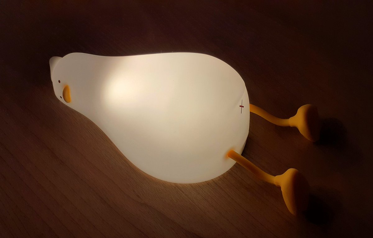 Introducing Dumpling - the existential crisis duck! 🐥