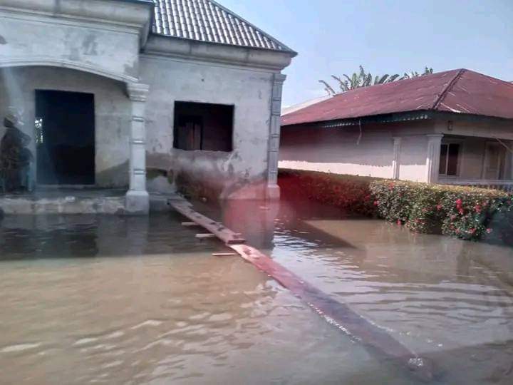 Emey46's tweet photo. OH GOD HAVE MERCY, SEE THIS KIND OF DISASTER, OUR GOVERNMENT DON'T CARE ABOUT IT, THEY WILL DO NOTHING OR VERY LITTLE ABT THE SITUATION, LATER THEY WILL BOOST OF NIGERIA BEING GIANT OF AFRICA, I NEVER SEE A GOVERNMENT THAT IS VERY SLOW IN RESPONDING TO LIFE THREATENING SITUATIONS https://t.co/d7ew4kVUF2