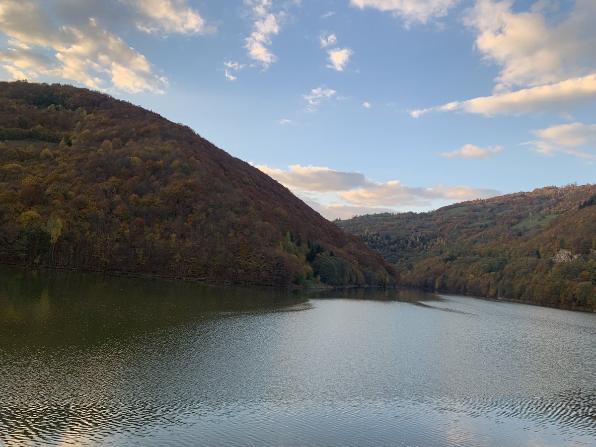 Anca Hobjila tweet media