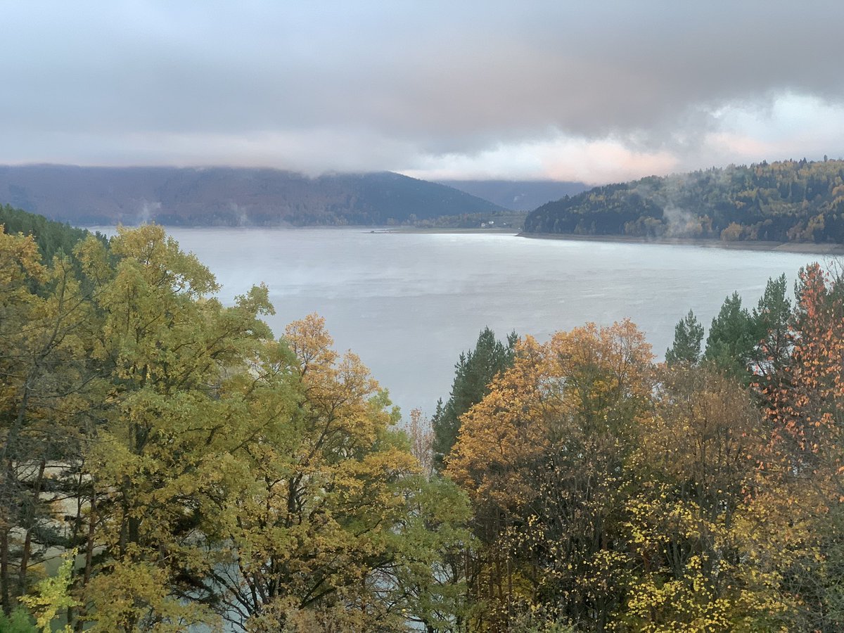 Anca Hobjila tweet media