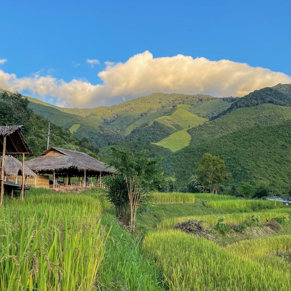 Onetarn's tweet photo. น่านไงงงง 🌳

#บ้านห้วยโทน #น่าน #Nan

#ReviewThailand #รีวิวไทยแลนด์ https://t.co/5y0dVUVsse
