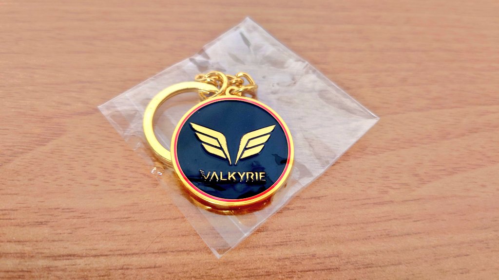 ORCA_csc's tweet photo. 「X670E VALKYRIE」発売記念
BIOSTER Japan様のノベルティグッズに当選させていただき賞品が届きました🙇
マザーボードもそうだけど、マークもRENAもカッコ良い!😍
日々、大事に使わせていただきます🙏
#BIOSTER https://t.co/Uh6MXrABJi