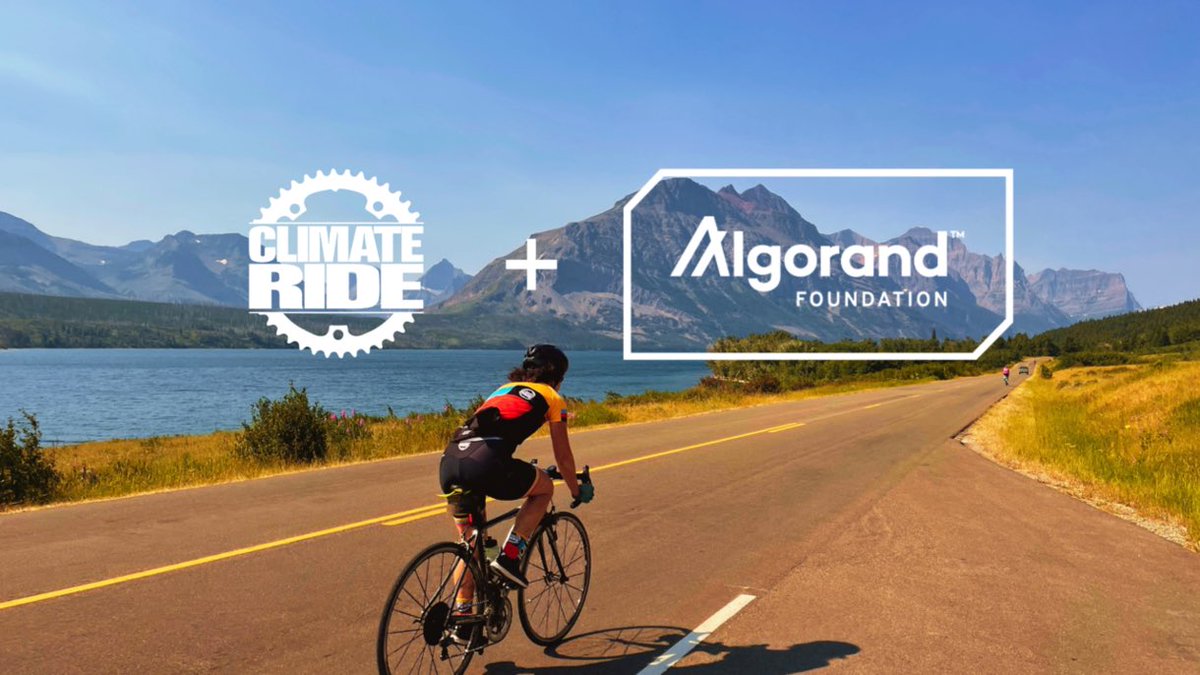 pat_sibi's tweet photo. It’s go time $ALGO fam!
Starting the #ClimateRise day in the pool soon 🏊🏽
Team #Algorand 🙌 https://t.co/xdkka8rwb4