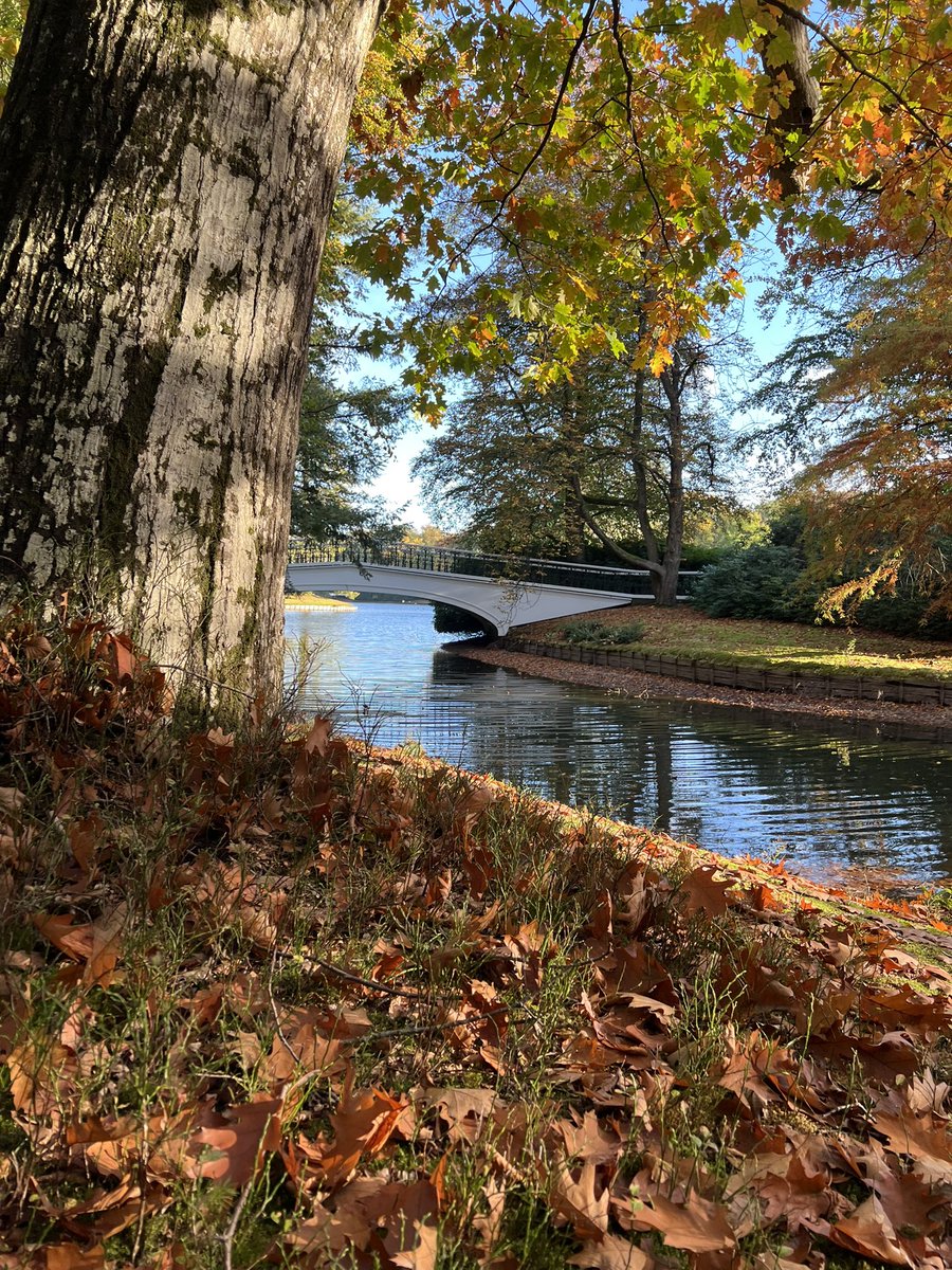 HSDECOSCREEN's tweet photo. @PietervVol Het zelfde geldt voor de mooie natuur in Nederland https://t.co/Sd13SONv8r