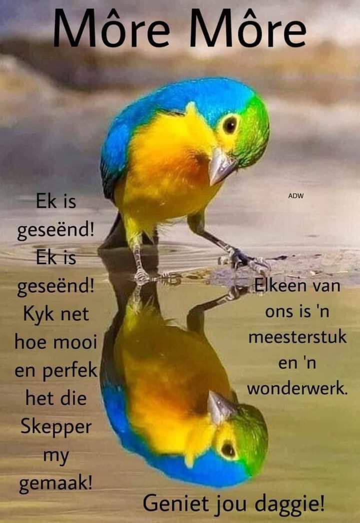 Pieter13H's tweet photo. Wonderlike Geseende daggie vir julle my Vrinne 😇😇😇😇😇😇 https://t.co/mCWZHh2r6I
