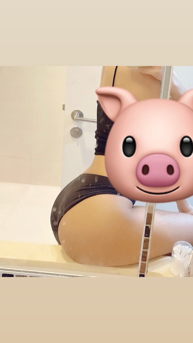 🐽 Pyork tweet media