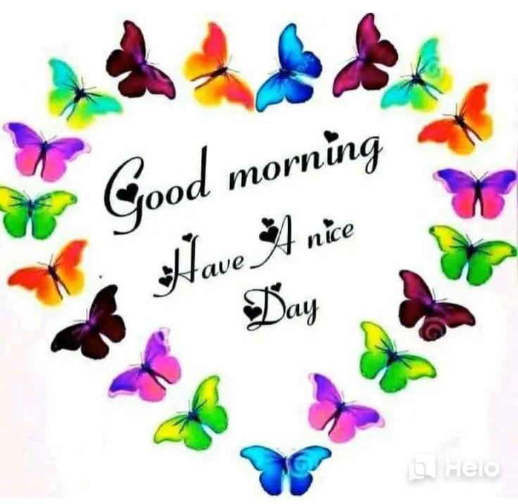 <a href="/draltafulhassan/">Dr. Altaf ul Hassan</a> 
Good morning dearest Brother Dr Altaf 🙋‍♂️💞🌻❤️🌹