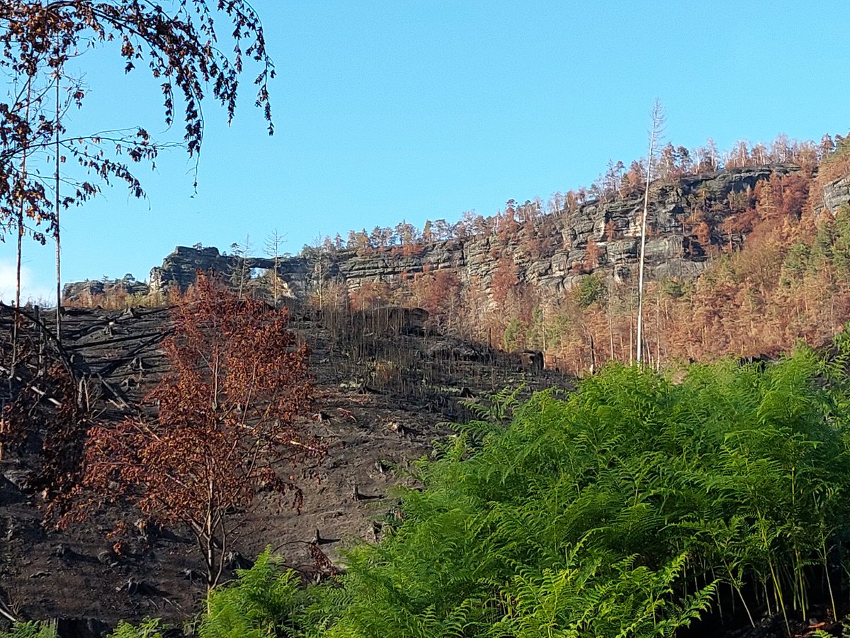 <a href="/CeskaEkologie/">Česká společnost pro ekologii</a> vyzývá, aby při diskuzi o dalším postupu v NP České Švýcarsko (a ostatních NP obecně) byl brán zřetel na roli ohně v krajině. Zároveň navrhuje vhodná preventivní protipožární opatření. bit.ly/3MpKOZM

<a href="/botanospol/">Botanospol - Czech Botanical Society</a> se s tímto prohlášením plně ztotožňuje.