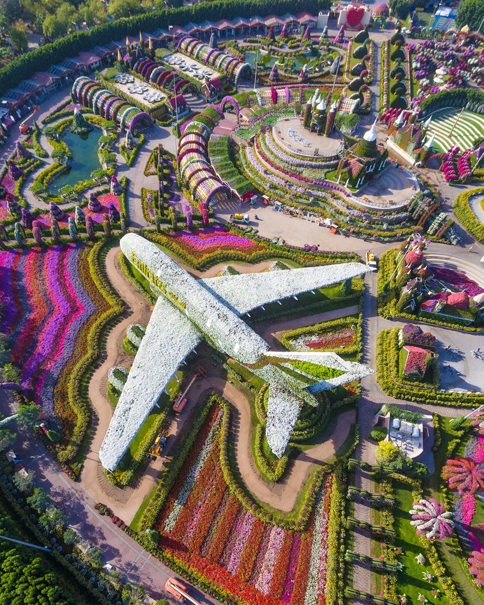 The world's largest natural flower garden, Dubai Miracle Garden is home to more than 150 million flowers in full bloom, and a life-sized Emirates A380 made from over 500,000 fresh flowers and living plants! 📸 Liam Clayton