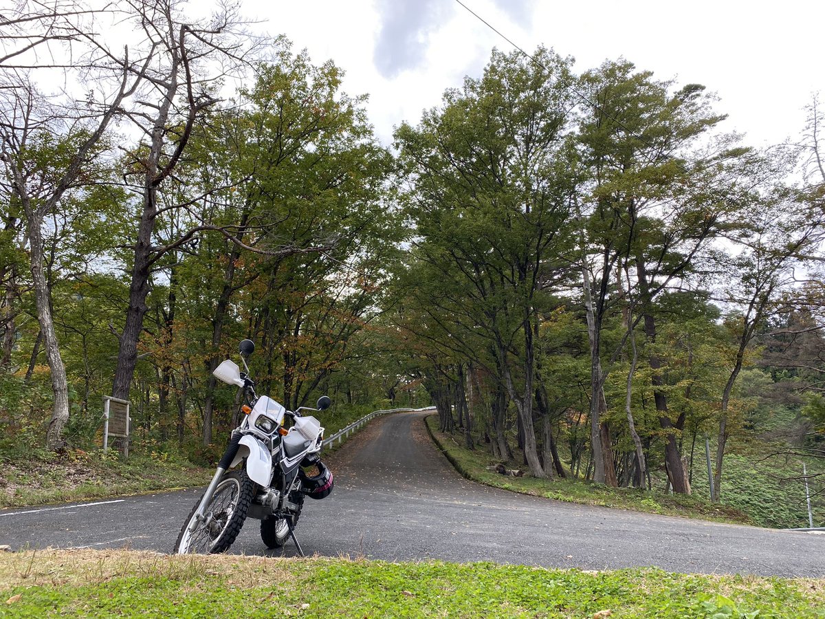 気温ちょうどよい