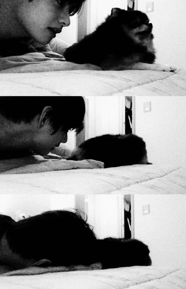 ؘ (@neurantz) on Twitter photo 