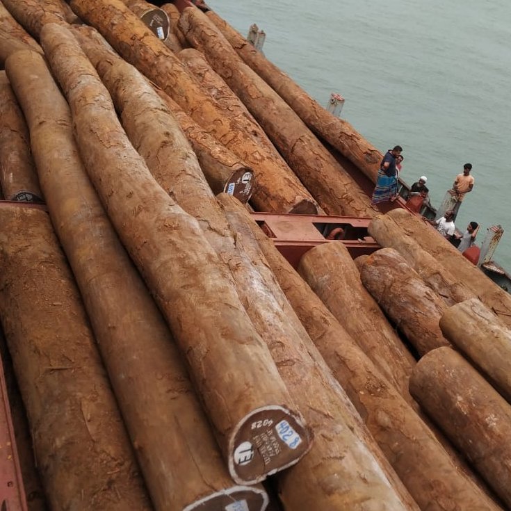 Log Discharging at Chittagong anchorage