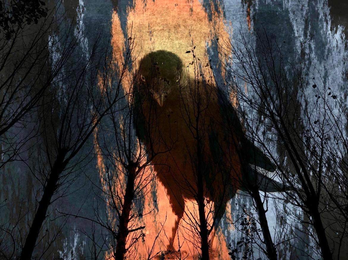 Norwich Art Shop tweet media