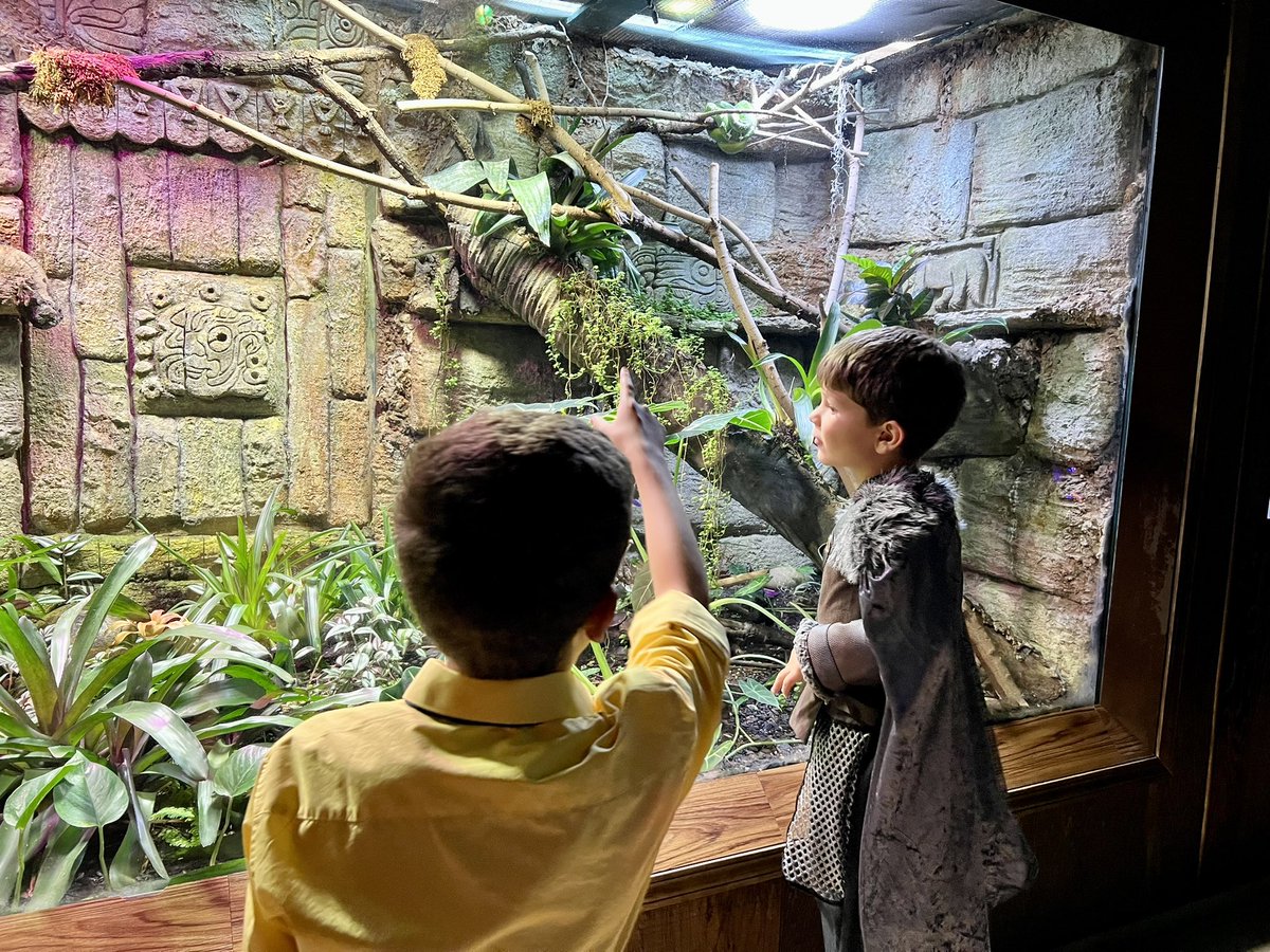 Never Bored Family tweet media