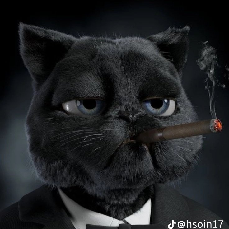 Ali2004o's tweet photo. #صورة_ملف_شخصي_جديدة https://t.co/ZGAifSm1G0