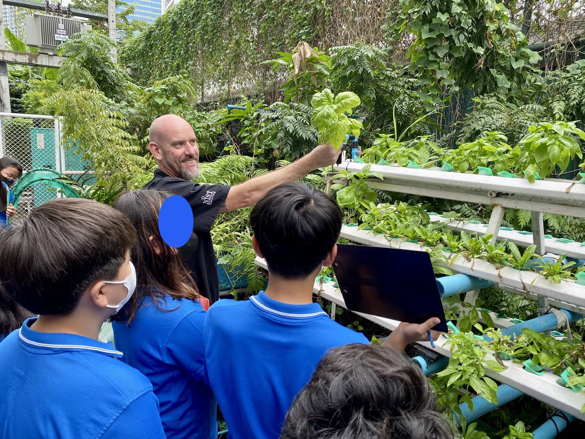 Y8 learning from our fabulous Head Chef Stu ⁦<a href="/NISTSchool/">NIST Int. School</a>⁩ with my wonderful co-planning partner ⁦<a href="/MsMteachesELLs/">Lindsay Manzella</a>⁩ about how NIST is reducing its foodprint using the closed loop systems of aquaponics, composting and the relationship with the rooftop garden.