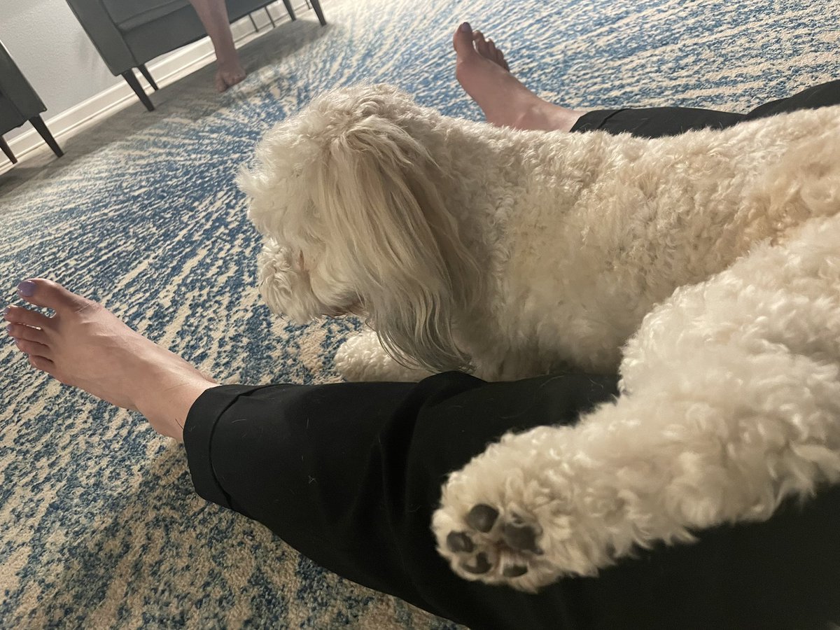 LilysPrettyToes's tweet photo. Hiiii 

#feet #paws #toenail #kpss2022 #MidnightsTaylorSwift #ANJIatRobinsonsBacolod #sub https://t.co/GQZ0HpCA4n