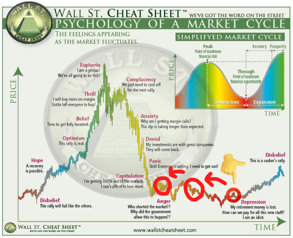 Cactus Graph tweet media